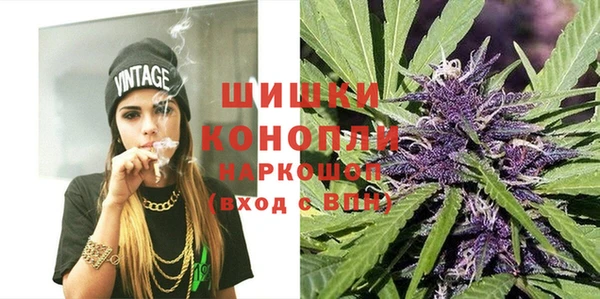 МДПВ Богородицк