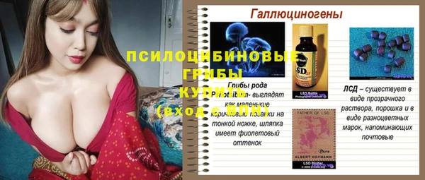 МДПВ Богородицк