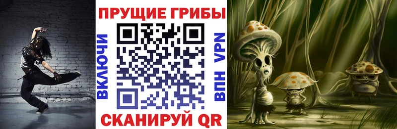 Псилоцибиновые грибы Psilocybine cubensis  KRAKEN зеркало  Козельск 